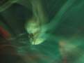 Tarwater060