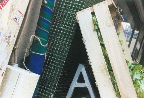 Apex1a