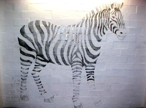 Zebra